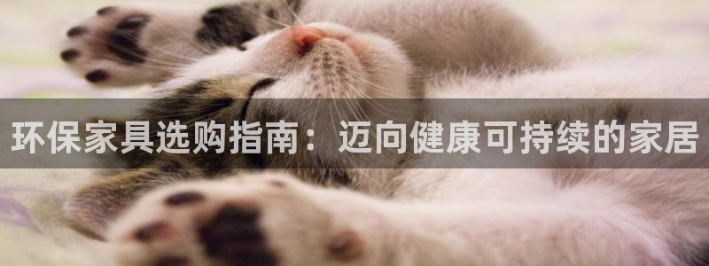 杏耀平台主管