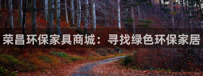 杏耀代理日工资多少