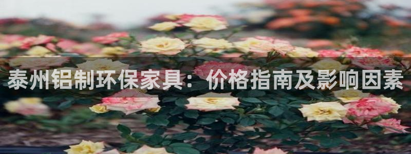 杏耀主管qq