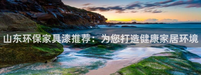 杏耀平台在线注册：山东环保家具漆推荐：为您打造健康家居环境