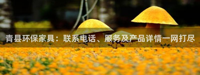 杏耀登入测速