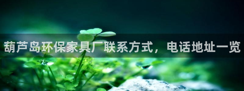 杏耀总代：葫芦岛环保家具厂联系方式，电话地址一览