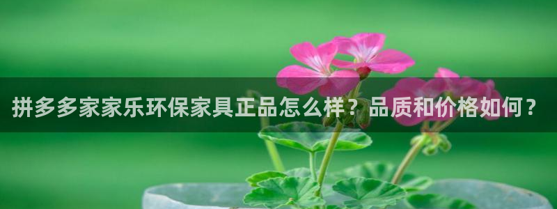 杏耀平台官网下载：拼多多家家乐环保家具正品怎么样？品质和价格