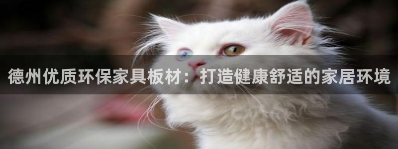 杏耀平台官网下载：德州优质环保家具板材：打造健康舒适的家居环
