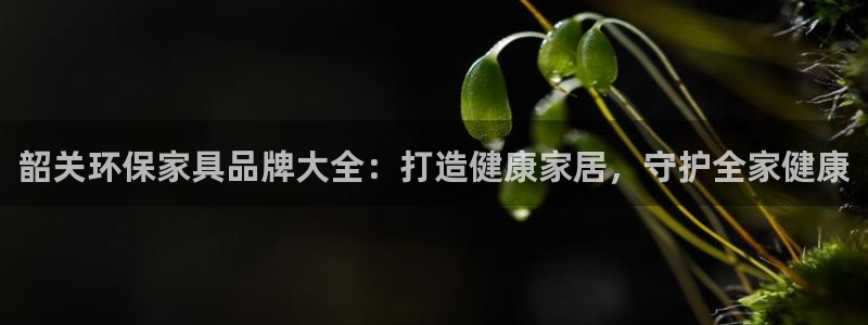 杏耀平台测速登陆：韶关环保家具品牌大全：打造健康家居，守护全