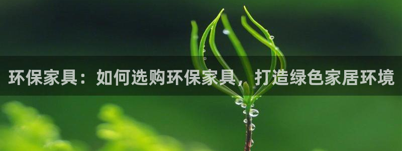 杏耀平台线路测速