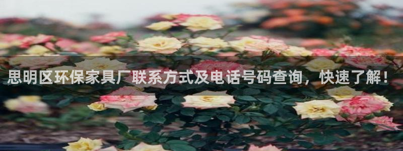 杏耀总代理：思明区环保家具厂联系方式及电话号码查询，快速了解