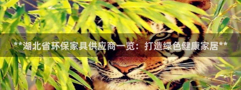 杏耀登陆测速：**湖北省环保家具供应商一览：打造绿色健康家居