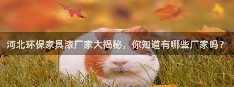 杏耀客户端登录