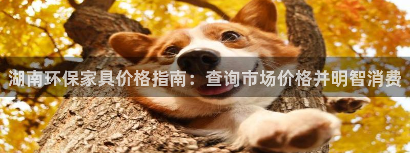 杏耀登入官网
